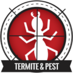 For termite control Acworth GA calls the pros at SWAT Services.