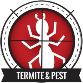 Do you have the signs of termite activitiy?
